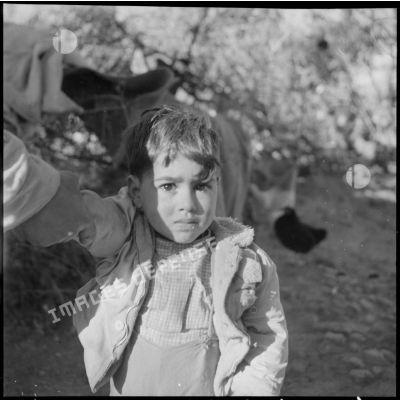 Portrait d'un jeune enfant algérien à Blida.