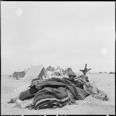 Harnachement du dromadaire d'un méhariste de la CMEO dans un campement de la région d'El Oued.