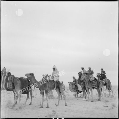 La patrouille de méharistes de la CMEO contrôle un groupe de nomades dans la région d'El Oued.