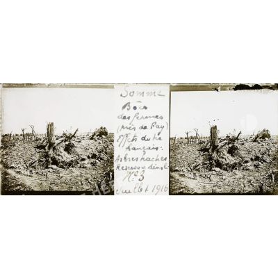 Somme - Bois des fermes (près de Fay) Effet du tir français : Arbres haché Réservoir démoli N°3 Juillet 1916. [légende d'origine]