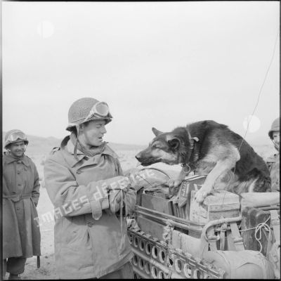 Un chasseur parachutiste et un chien , secteur d'Aïn Sefra.