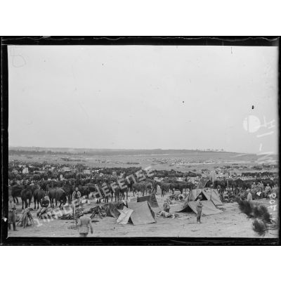 Cavalerie stationnée au dessus de Souain, dans la Marne. [légende d'origine]