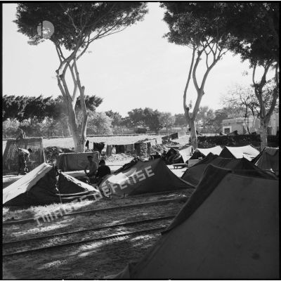 Vue générale d'un campement de commandos Marine à Port-Fouad.