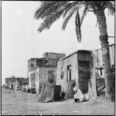 Un bidonville dans les faubourgs de Port-Saïd, sur la route du terrain d'aviation de Gamil.