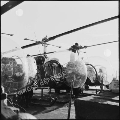Les hélicoptères Bell du PHL (Peloton d'hélicoptères légers) de la Force A, à Port-Saïd.<br>