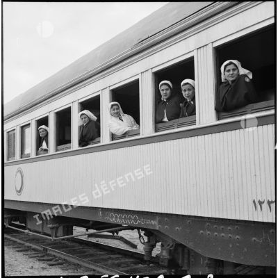 L'arrivée d'un train du Croissant-Rouge égyptien à Port-Saïd.