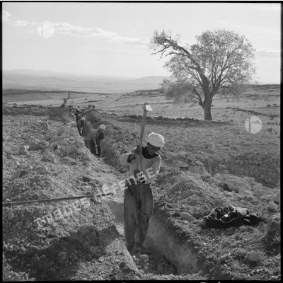 Des ouvriers creusent une canalisation, Djebel Aougueb.