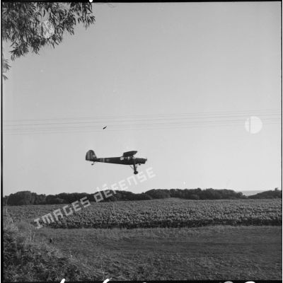 Un appareil d'observation Morane Saulnier 500 Criquet survole des vignes.