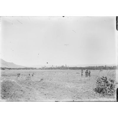 277. [Madagascar, 1900-1902. Scène de travail agricole près d'un village.]