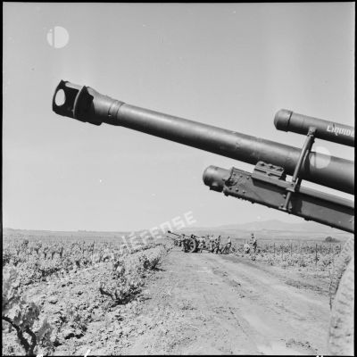 Pièces de 105 mm (10,5 mm FH 18 M) dans une vigne dans le secteur de Thenia.