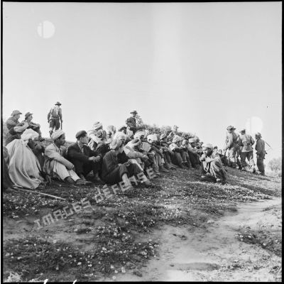 Rassemblement de villageois par des soldats dans le secteur de Thenia.