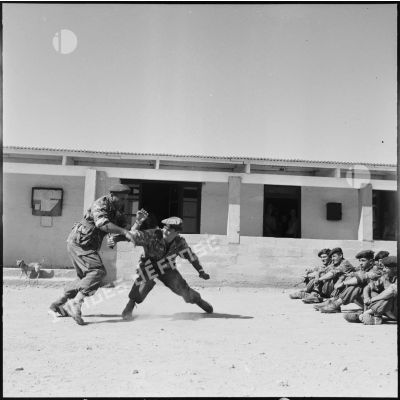Entraînement des commandos de la Demi-Brigade de Fusiliers Marins (DBFM) à la frontière algéro-marocaine.