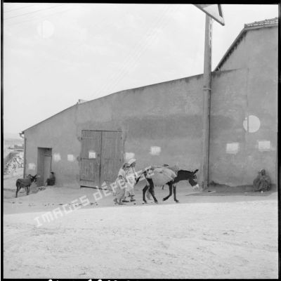 Village de Mazouna. Des paysans se rendent au marché, accompagnés d'un mulet.