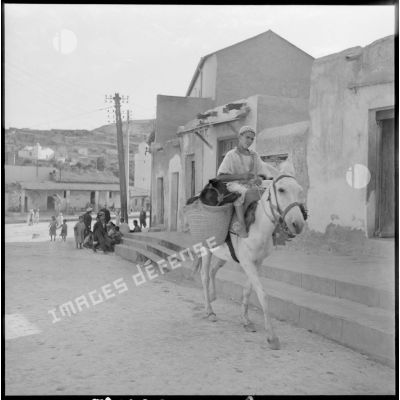 Jeune musulman venant faire ses provisions à Mazouna, à dos de mulet.