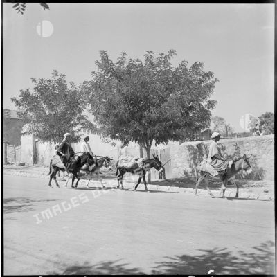 Région d'Oran. Trois paysans à dos de mulet dans le village de Renault.