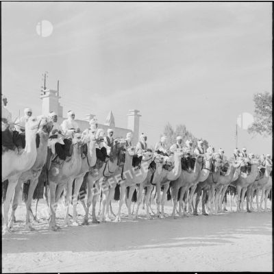 Les harkis des Oasis montés sur chameaux.
