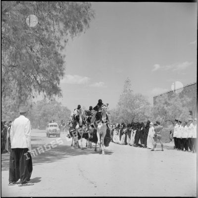 Des Touareg sur chameaux précèdent la voiture ministérielle entrant dans Tamanrasset.