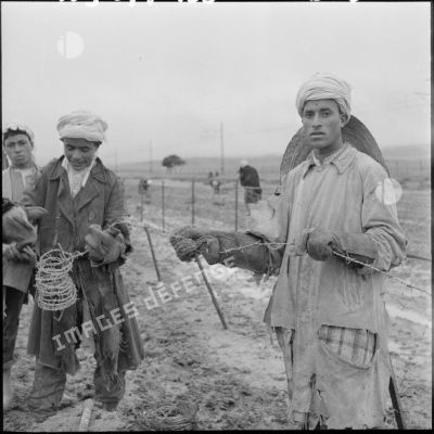 Ouvriers français-musulmans construisant le réseau de barbelés.