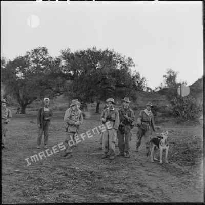 Groupe de soldat et leur chien.