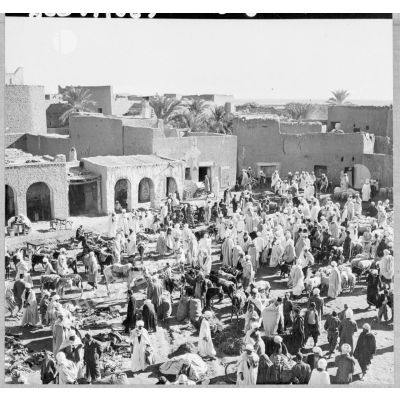 Le marché de Sidi Okba.
