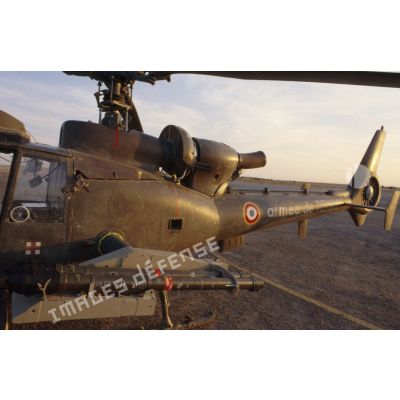 Hélicoptère de combat Gazelle de l'ALAT (aviation légère de l'armée de terre) équipé de missiles Mistral pour la défense air-air des hélicoptères de combat Gazelle Hot.
