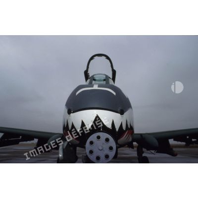 Vue frontale du nez peint de dents de requins et du canon d'un avion d'appui rapproché Fairchild A-10 Thunderbolt-II sur le parking de la base américaine à CRK (camp du roi Khaled).