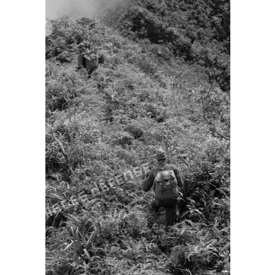 La troisième section de la première compagnie du régiment d'infanterie de marine de Polynésie (RIMaP) ouvre une piste entre l'Aorai et le Tamara à Tahiti.[Description]