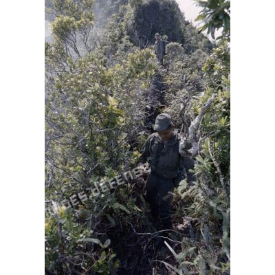 Ouverture d'une piste entre l'Aorai et le Taharaa par la 3e section de la 1ere compagnie du régiment d'infanterie de marine du Pacifique (RIMAP). [Description en cours]