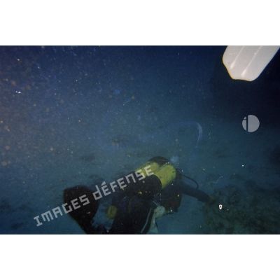 Plongée sous-marine de loisir à la découverte des fonds marins de Moruroa. [Description en cours]