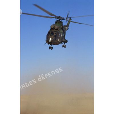 Aux alentours du CRK (camp du roi Khaled), un hélicoptère de transport Puma SA-330 en vol et au sol