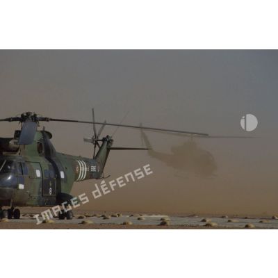 Aux alentours du CRK (camp du roi Khaled), un hélicoptère de transport Puma SA-330 au sol et atterrissage d'un hélicoptère américain de lutte antichar Bell 209 Huey-Cobra.