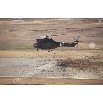Vue aérienne d'un hélicoptère de transport Puma SA-330 de l'ALAT (aviation légère de l'armée de terre) survolant la piste d'envol de la base aérienne d'Al Salman.