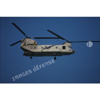Hélicoptère d'assaut Boeing Vertol CH-47 Chinook américain en vol.