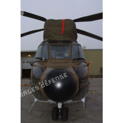 Nez d'un hélicoptère de transport Puma Orchidée (observatoire radar cohérent héliporté d'investigation des éléments ennemis) au sol.