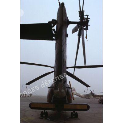 Rotor arrière et radar replié d'un hélicoptère de transport Puma Orchidée (observatoire radar cohérent héliporté d'investigation des éléments ennemis) au sol.