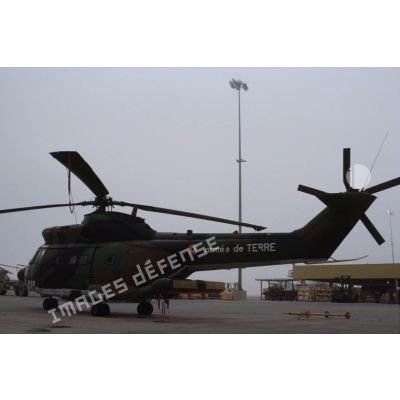 Un hélicoptère de transport Puma Orchidée (observatoire radar cohérent héliporté d'investigation des éléments ennemis), radar replié, au sol.