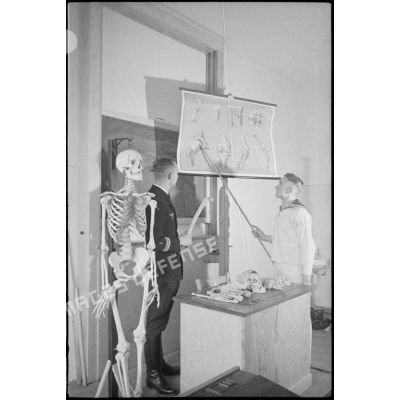 Au sein d'une école navale de la marine allemande, un cours d'anatomie, ici les os du genou.