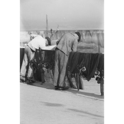 Dans le port de Douarnenez, les pêcheurs font sécher les filets.