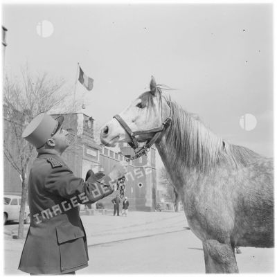 Un officier et un cheval devant un bâtiment français.