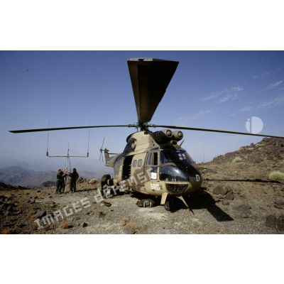 Hélicoptère Puma sur un sommet pendant un exercice commun de transmissions avec les EAU (Emirats arabes unis).