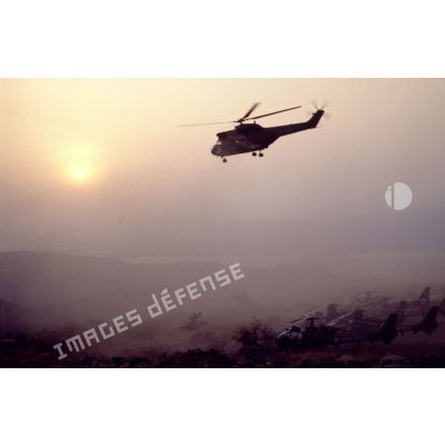 Hélicoptère de transport Puma de l'ALAT (aviation légère de l'armée de terre) survolant des hélicoptères de combat Gazelle au sol.