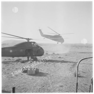Algérie. Hélicoptères Sikorsky au décollage, lors d'une opération héliportée.