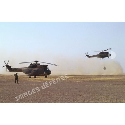 Manoeuvres d'héliportage par des hélicoptère de transport Puma SA-330 dans le désert.