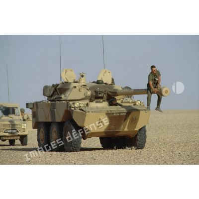 Un AMX-10 RC et une Peugeot P4 en progression dans le désert. Un militaire est assis à califourchon sur le canon.