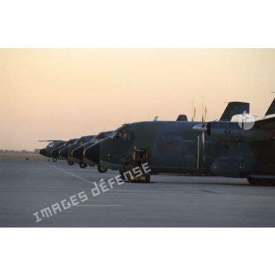 Alignement d'avions de transport Transall C-160 au parking sur l'aéroport de CRK (camp du roi Khaled).