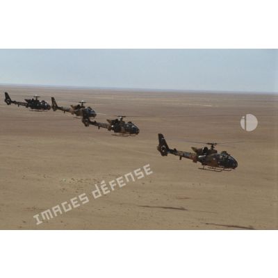 Quatre hélicoptères de combat Gazelle HOT non approvisionnés en patrouille dans le désert.