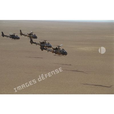 Quatre hélicoptères Gazelle HOT non approvisionnés en patrouille dans le désert.