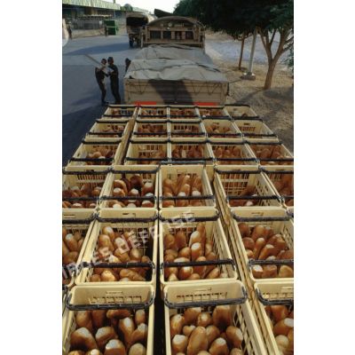 Le pain fabriqué par la boulangerie est chargé par les hommes du 511e RT sur des camions à bâcher pour être livré aux troupes stationnées à Hafar al Batin.