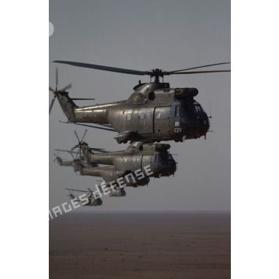 Cinq hélicoptères de transport Puma SA-330 des 1er et 5e RHC survolent le désert en formation groupée lors de l'héliportage de groupes de combat du 1er RI vers la zone d'opération nord.