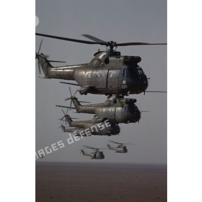 Sept hélicoptères de transport Puma SA-330 des 1er et 5e RHC survolent le désert en formation groupée lors de l'héliportage de groupes de combat du 1er RI vers la zone d'opération nord.